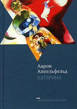 Аарон Аппельфельд Катерина обложка книги