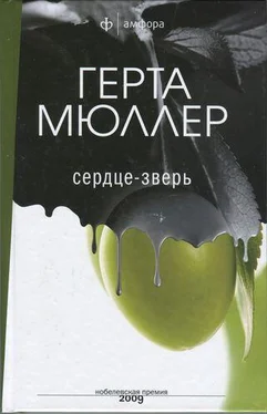 Герта Мюллер Сердце-зверь обложка книги