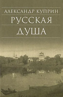 Александр Куприн Русская душа (сборник) обложка книги