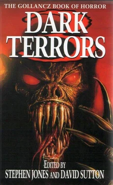 Stephen Jones Dark Terrors 3: The Gollancz Book of Horror обложка книги