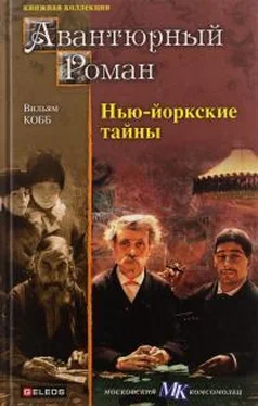 Жюль Лермина Нью-Йоркские тайны обложка книги