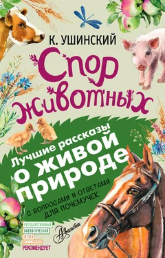 Константин Ушинский Спор животных (сборник). С вопросами и ответами для почемучек обложка книги