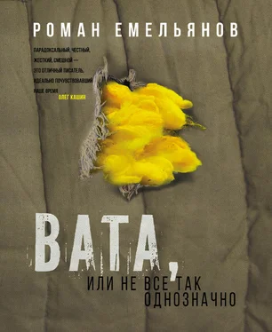Роман Емельянов Вата, или Не все так однозначно обложка книги