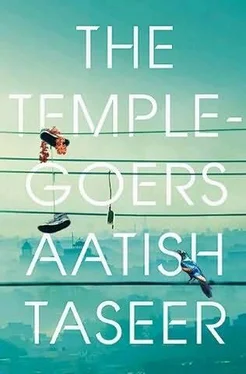 Aatish Taseer The Temple-Goers обложка книги