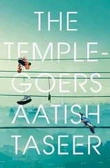 Aatish Taseer - The Temple-Goers