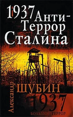 Александр Шубин 1937. АнтиТеррор Сталина обложка книги