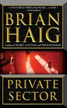 Brian Haig PrivateSector обложка книги