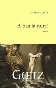 Adrien Goetz À bas la nuit ! обложка книги