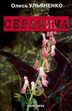 Олесь Ульяненко Серафима обложка книги