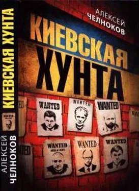 Алексей Челноков Киевская хунта обложка книги