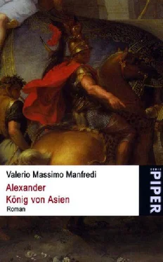 Valerio Manfredi Alexander König von Asien обложка книги