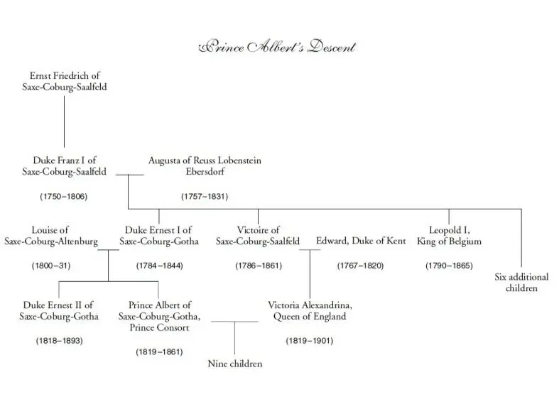 Prologue Coburg 1 October 1860 When the agony of the state dinner was - фото 1