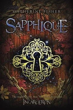 Кэтрин Фишер Sapphique обложка книги