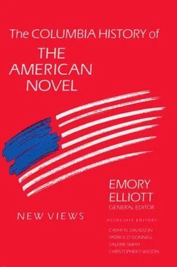 Emory Elliott The Columbia History of the American Novel обложка книги