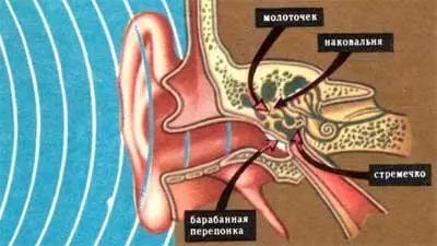 Хотя у первых людей мозг был достаточно большой чтобы думать говорить они не - фото 6