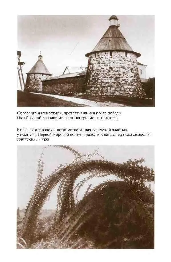 Повседневная жизнь России в заседаниях мирового суда и ревтрибунала 18601920е годы - фото 19