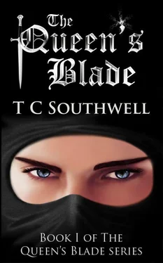 T Southwell The Queen_s Blade обложка книги