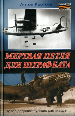 Антон Кротков Мертвая петля для штрафбата обложка книги