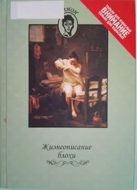 Не указан Жизнеописание блохи обложка книги