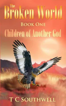 T Southwell Children of Another God обложка книги