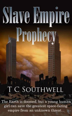 T Southwell Prophecy обложка книги