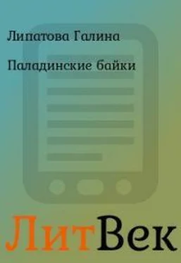 Галина Липатова Паладинские байки обложка книги