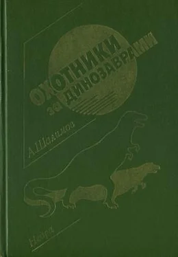 Александр Шалимов Ночь у мазара обложка книги