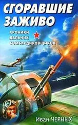 Иван Черных - Сгоравшие заживо. Хроники дальних бомбардировщиков.
