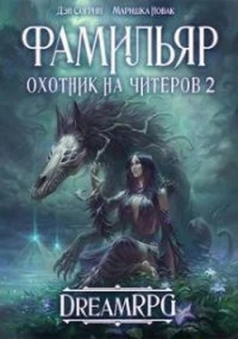 Маришка Новак Охотник на читеров 2: Фамильяр [СИ] обложка книги