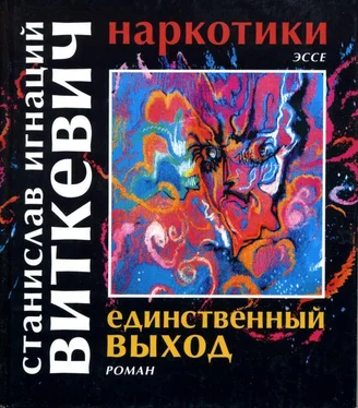 Станислав Виткевич Наркотики. Единственный выход обложка книги