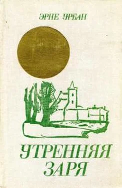 Эрне Урбан Утренняя заря обложка книги