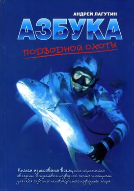 Андрей Лагутин Азбука подводной охоты. Для начинающих... и не очень. обложка книги