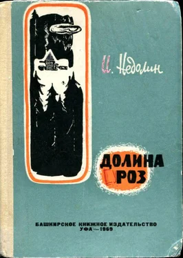 Иван Недолин Долина роз [Приключенческая повесть] обложка книги