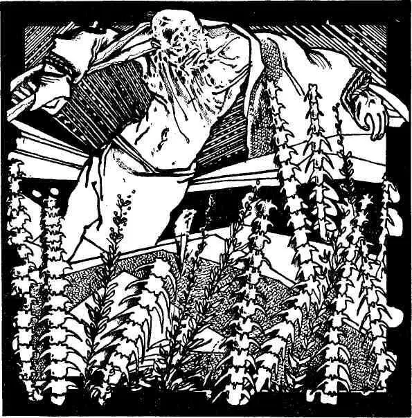 1 Его звали Рыбий Глаз За короткие безресницые веки за мутный лупатый - фото 6