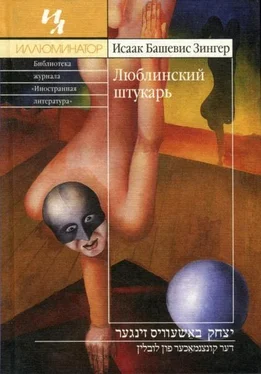 Исаак Башевис-Зингер Люблинский штукарь обложка книги