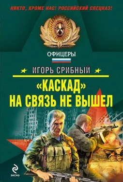 Игорь Срибный «Каскад» на связь не вышел обложка книги