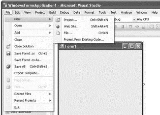 Figure 210 To customize the items displayed in the Menu bar select - фото 14