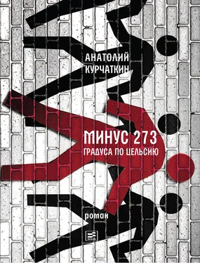 Анатолий Курчаткин Минус 273 градуса по Цельсию обложка книги