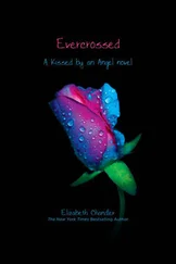 Элизабет Чандлер - Evercrossed