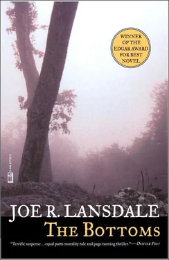 Joe Lansdale The Bottoms обложка книги