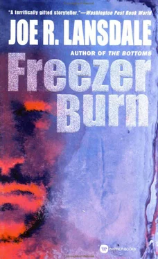 Joe Lansdale Freezer Burn обложка книги