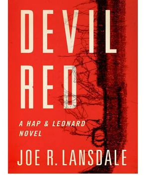 Joe Lansdale Devil Red обложка книги