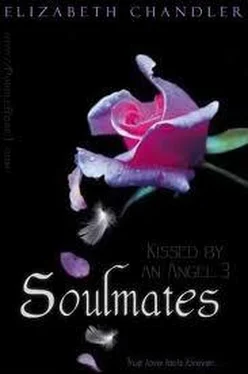 Элизабет Чандлер Soulmates обложка книги