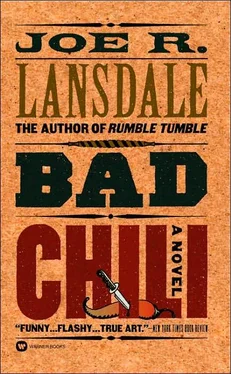 Joe Lansdale Bad Chili обложка книги