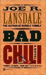 Joe Lansdale - Bad Chili