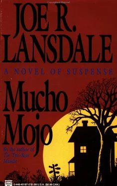 Joe Lansdale Mucho Mojo обложка книги