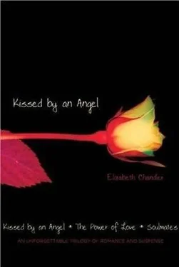 Элизабет Чандлер Kissed by an Angel обложка книги