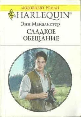 Энн Макалистер Сладкое обещание обложка книги