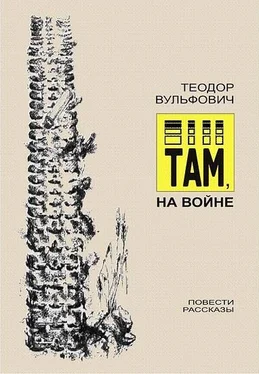 Теодор Вульфович Там, на войне обложка книги