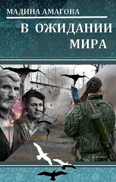 Мадина Амагова В ожидании мира обложка книги